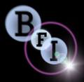 Caribbean UK Film Festival, 2009 BFI LOGO