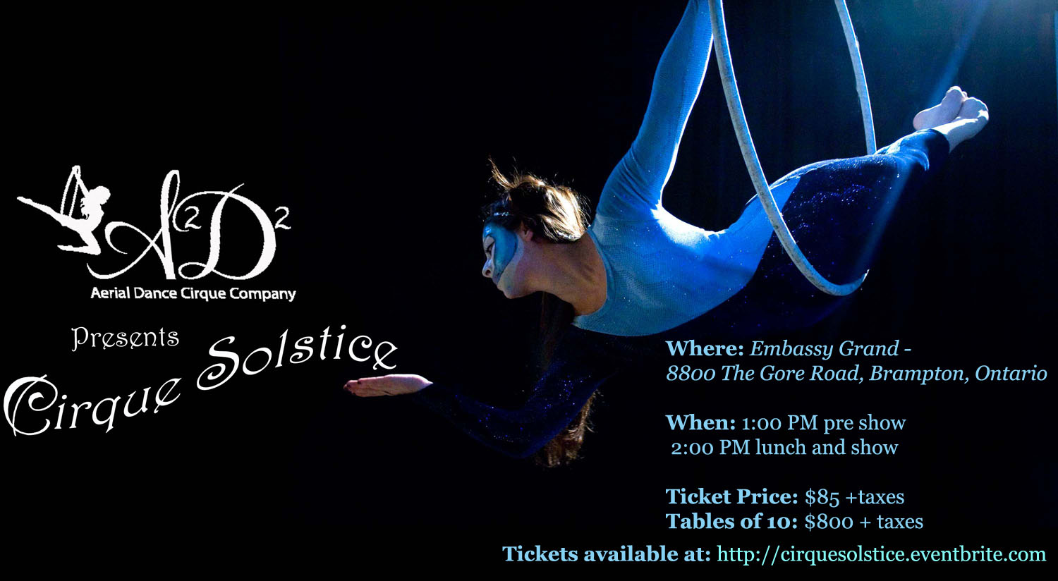 Cirque Solstice Poster