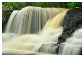 Wildflowers & Waterfalls in the Pocono Mountains,...