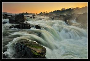 Great Falls Field Workshop