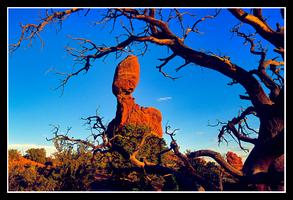 Arches & Canyonlands Photography Workshop