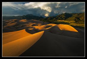Nature Photography Master Class (Online Class)