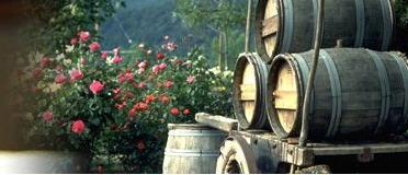 Holiday Party & Wine-Tasting Celebration!
