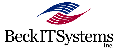 What is IN for 2009 IT - Avoid Costly IT Mistakes!