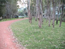 Friends Of The Canal Garden - Prabhat, Bhandarkar & Agarkar...