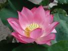 Compassionate Listening Intensive: Healing World from the...