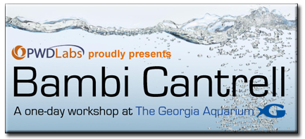 Bambi Cantrell Live at The Georgia Aquarium