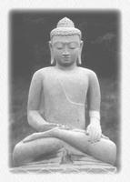 Buddhist Mindfulness Meditation Daylong  with Martina...