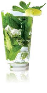 mojito