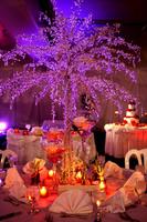 Weddings On Ice Bridal and Event Planning   Christmas Shoppi...