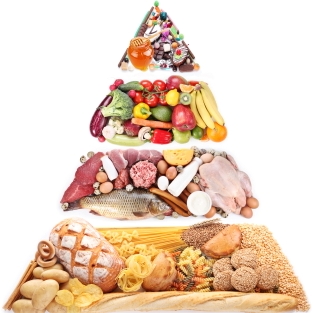 Food Pyramid