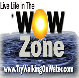 The WOW Zone Logo