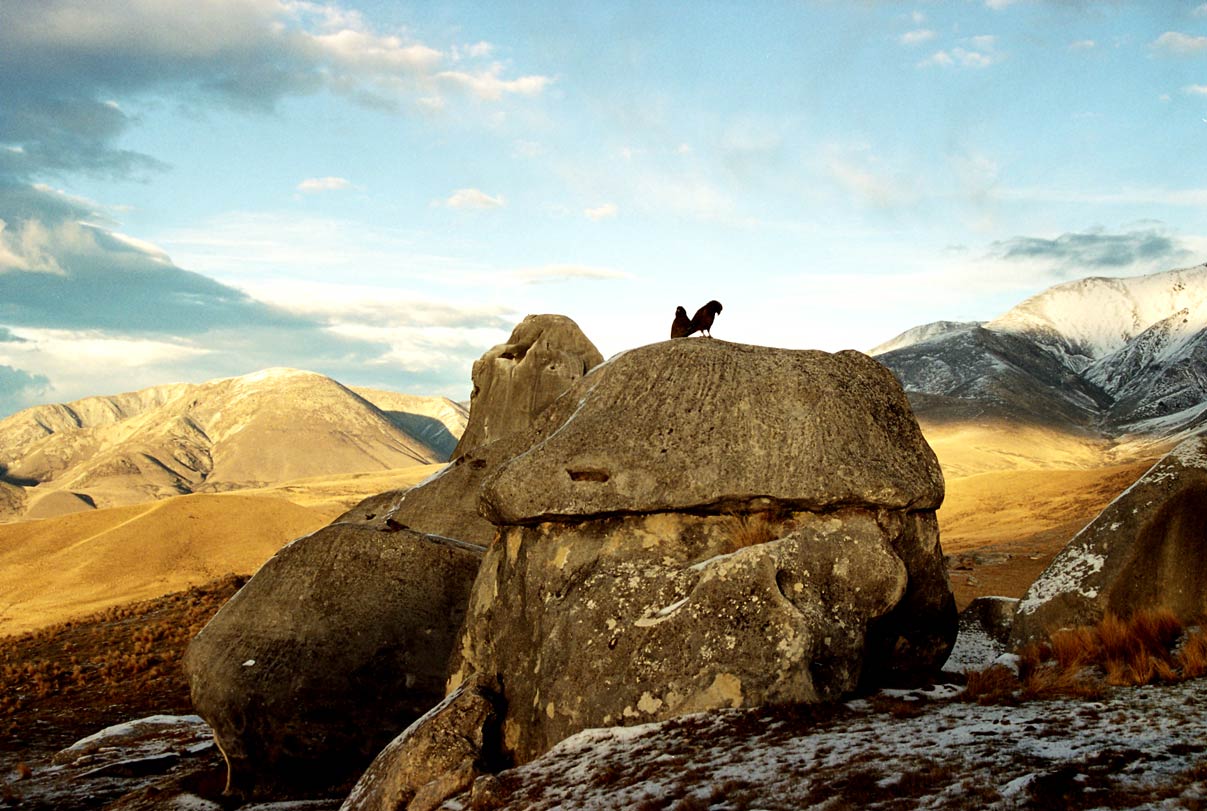 Kias On rock NZ