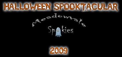 Halloween Spooktacular for Make-A-Wish® of Toronto and...