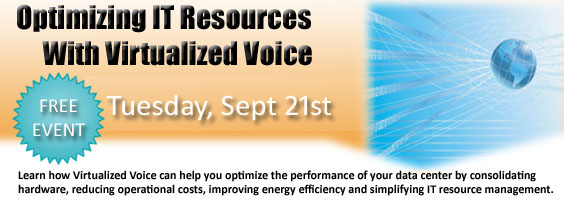 Virtualized Voice Lunch & Learn