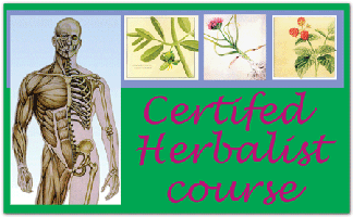 Certified Herbalist Course