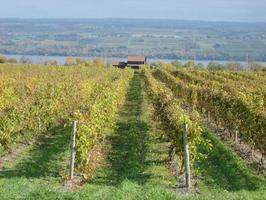 Wine Country - Fingerlakes Region - Wine Tasting Weekend
