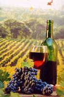 Shawangunk Wine Trail - Wine Tasting & Picnic Hike - Dec 6