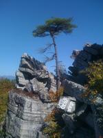 The Talus plus Cave - Intermediate Rock Scrambling & Day...