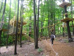 High Ropes - Adventure Park