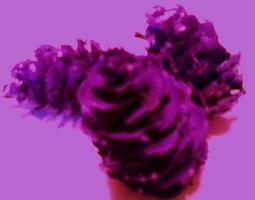 250 Men Stand Up & Speak Out against Domestic Violence