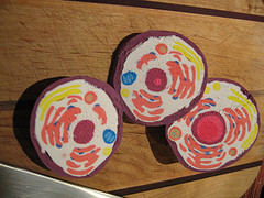 GalaxyGoo Cell Project Cell Model Cross Sections