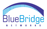 BlueBridge Networks Logo