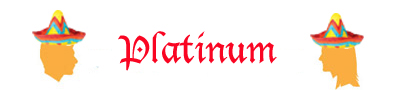 Platinum Sponsor