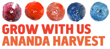 The Ananda Harvest Benefit
