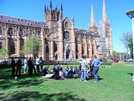 Picnic in the Park