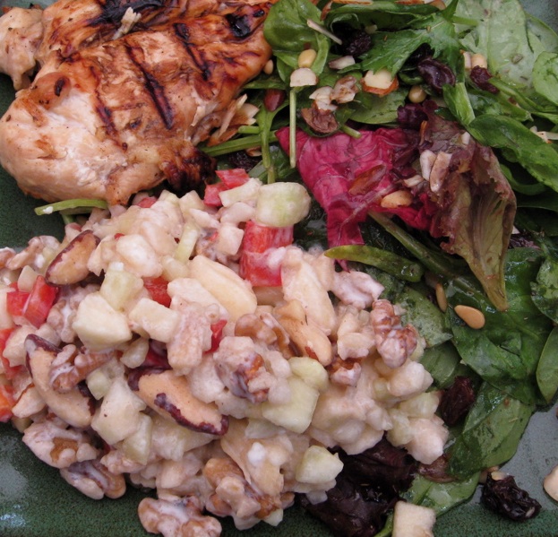 Paleo meal - chicken & paleo salad