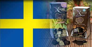 Xocai Healthy Chocolate  Sweden Grand Opening Celebration