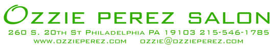 Ozzie Perez Salon