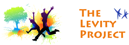 The Levity Project: Chicago
