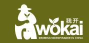 Wokai Hong Kong Launch Gala