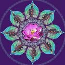 Sensual Synergy
