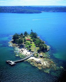 shark island