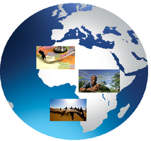The Role Of Science and Technology in African Development