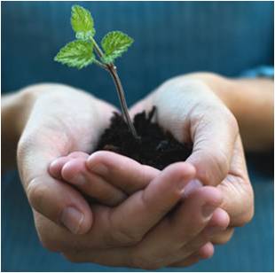 sustainability image
