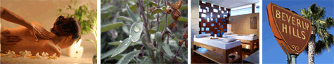 Opportunity Green's Beauty and Sustainability