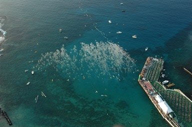 Overhead shot of the Ironman @ Kona Overhead shot of the Ironman @ Kona