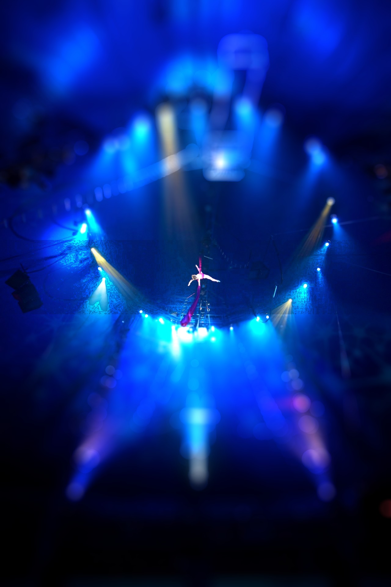 Circus