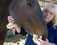 Debbie Johnstone Animal Whisperer
