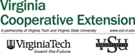 VCE Logo