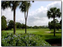 Webber International University   Alumni and Friends Golf To...