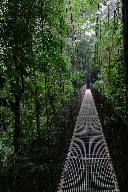 hanging bridges