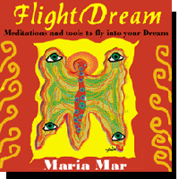 Pre-register for the FlightDream Online Course