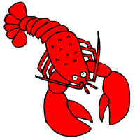 Sheridan Shore Sailing School Fundraiser - Lobster Boil and...