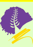 NaturiLogo