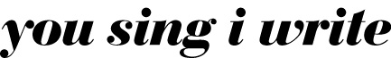 You Sing I Write